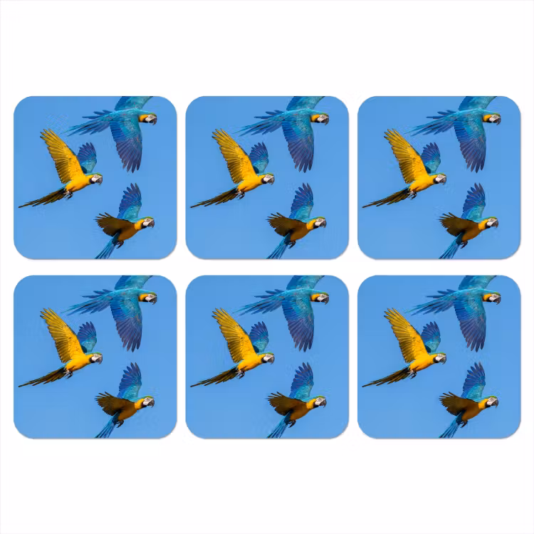 Papagaai - Vliegen - Blauw - Geel onderzetter kurk middel -3d