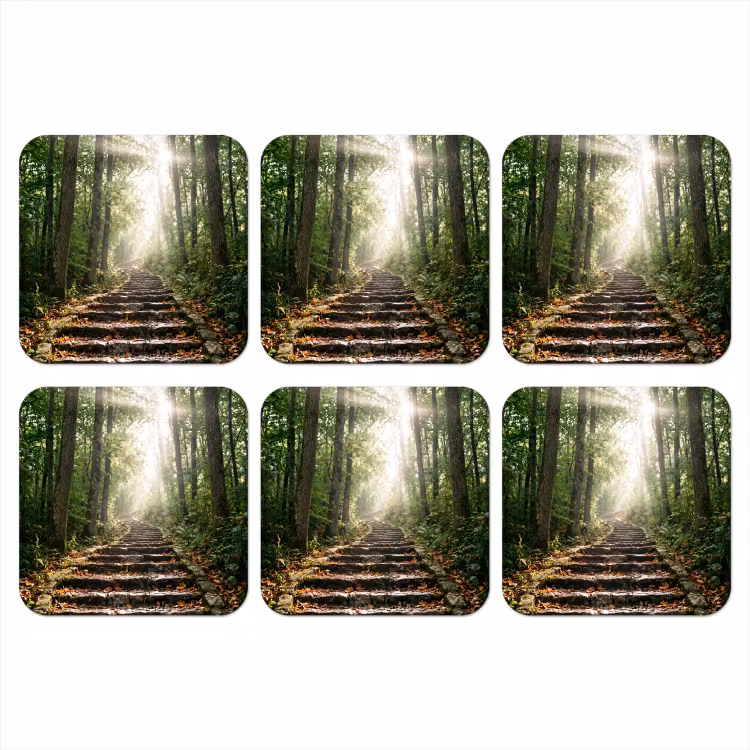 Stenen - Trap - Bos - Natuur onderzetter kurk middel -3d