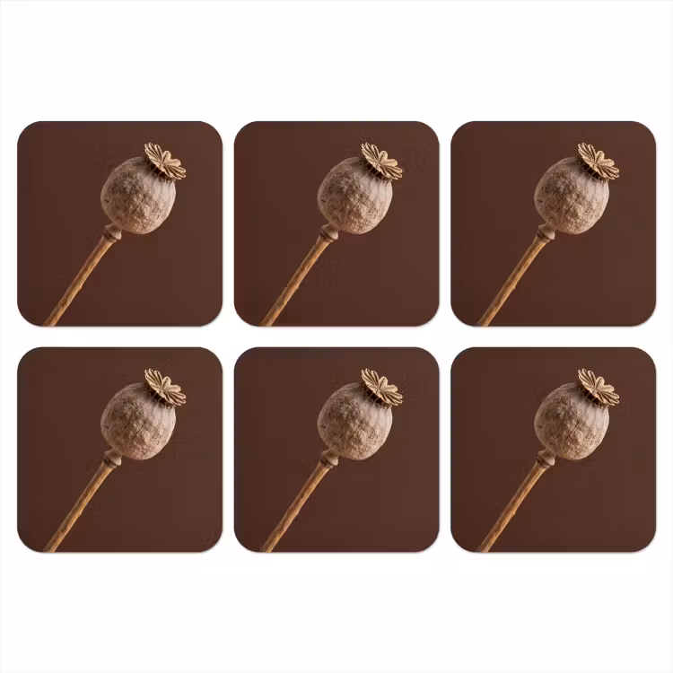Papaverbol - Droogbloem - Bruin - Minimalistisch onderzetter kurk middel -3d