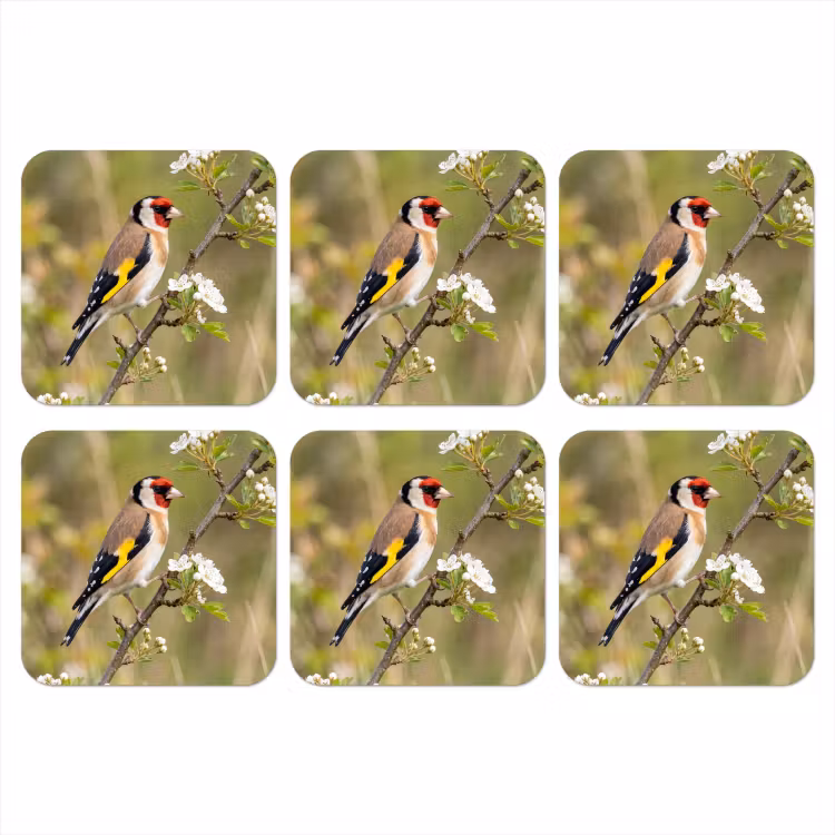 Putter - Bloesem - Lente - Natuur - Kleurrijk onderzetter kurk middel -3d