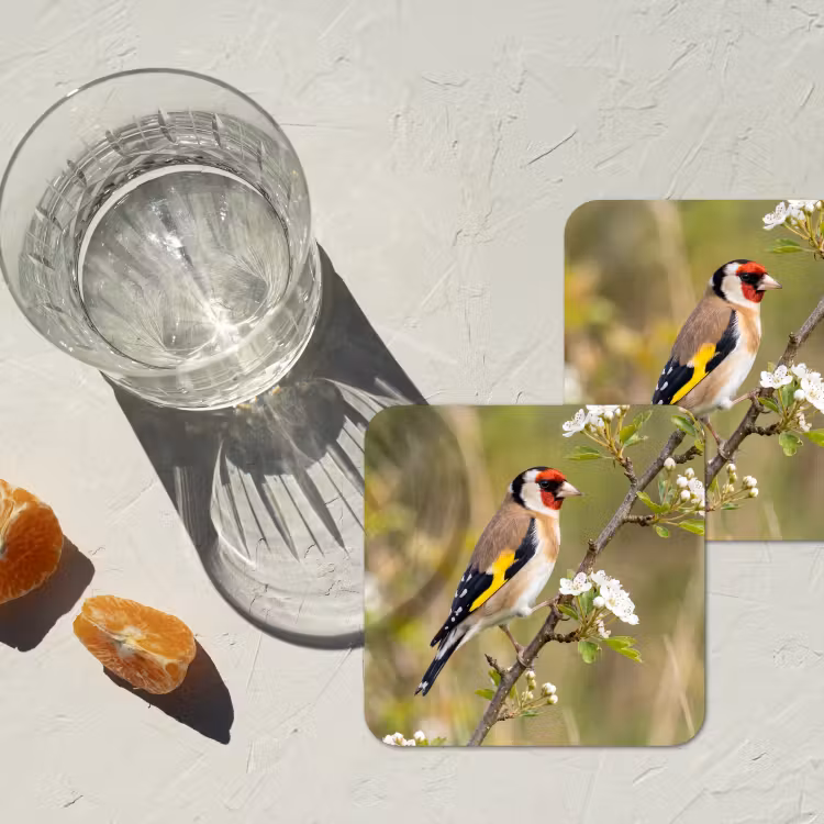 Putter - Bloesem - Lente - Natuur - Kleurrijk onderzetter kurk middel -sfeer4