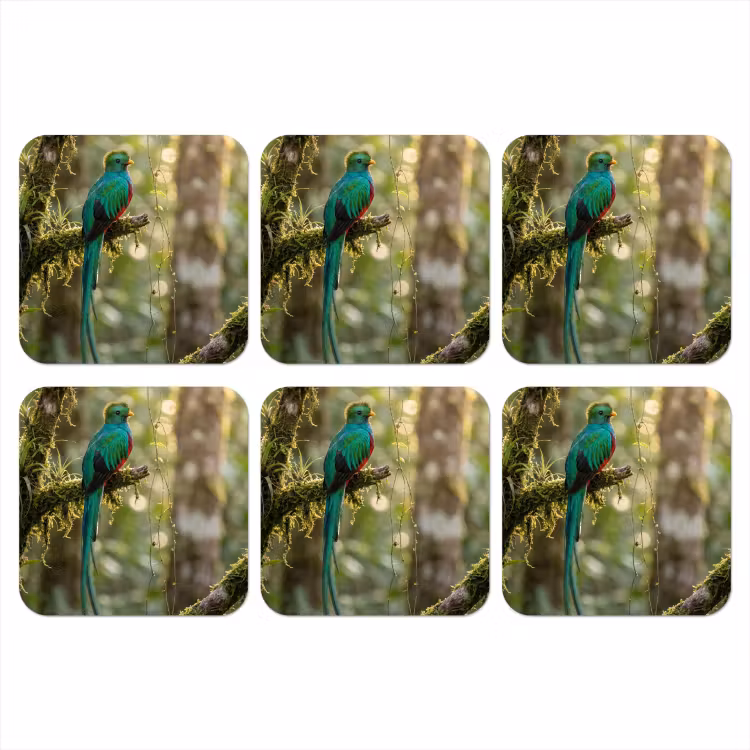 Quetzal - Jungle - Natuur - Groen onderzetter kurk middel -3d