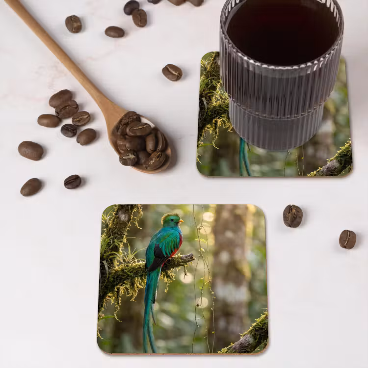 Quetzal - Jungle - Natuur - Groen onderzetter kurk middel -sfeer2