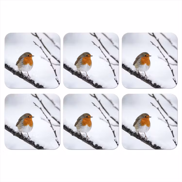 Roodborstje - Tak - Sneeuw - Winter - Levendig onderzetter kurk middel -3d