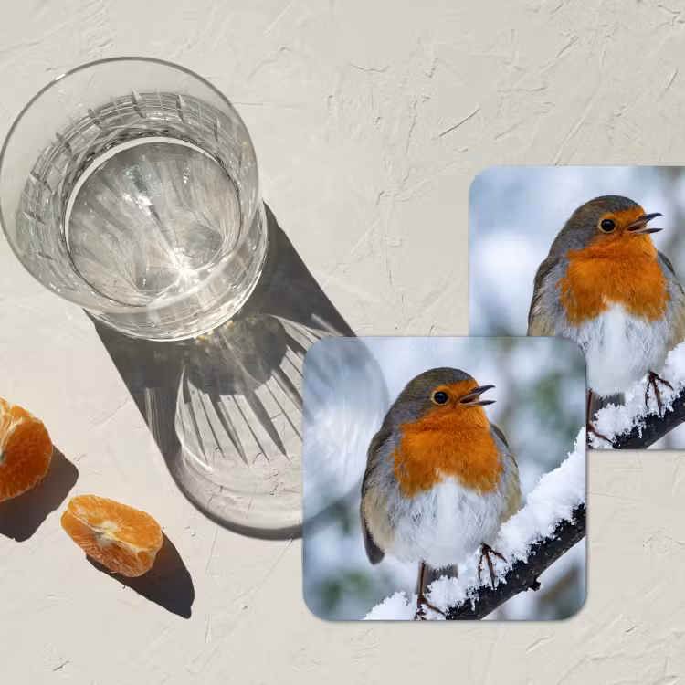 Roodborstje - Tak - Sneeuw - Winter - Levendig onderzetter kurk middel -sfeer4