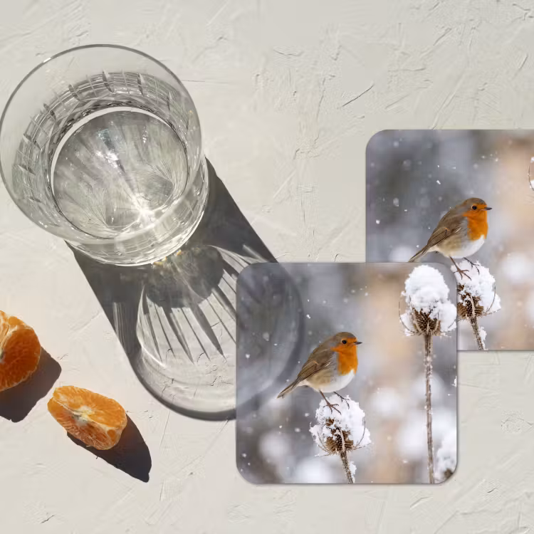 Roodborstje - Gedroogde bloem - Sneeuw - Winter - Vertederend onderzetter kurk middel -sfeer4