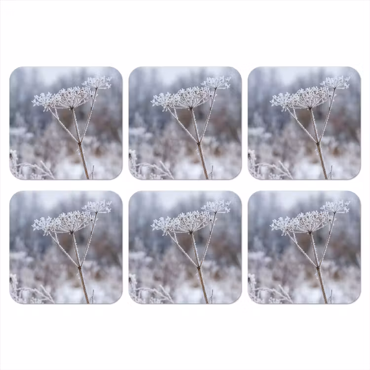 Schermbloem - Rijp - Kristallen - Winter - Delicaat onderzetter kurk middel -3d