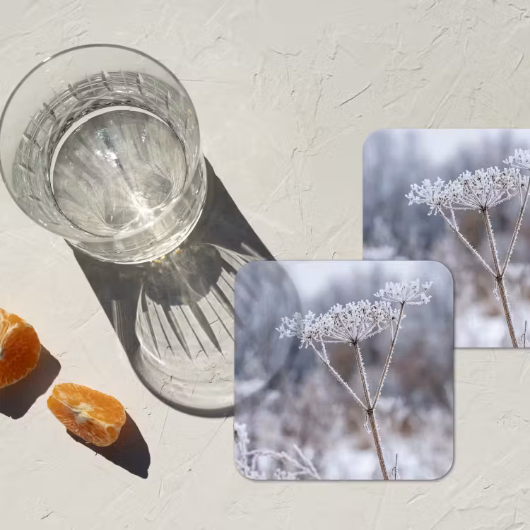 Schermbloem - Rijp - Kristallen - Winter - Delicaat onderzetter kurk middel -sfeer4