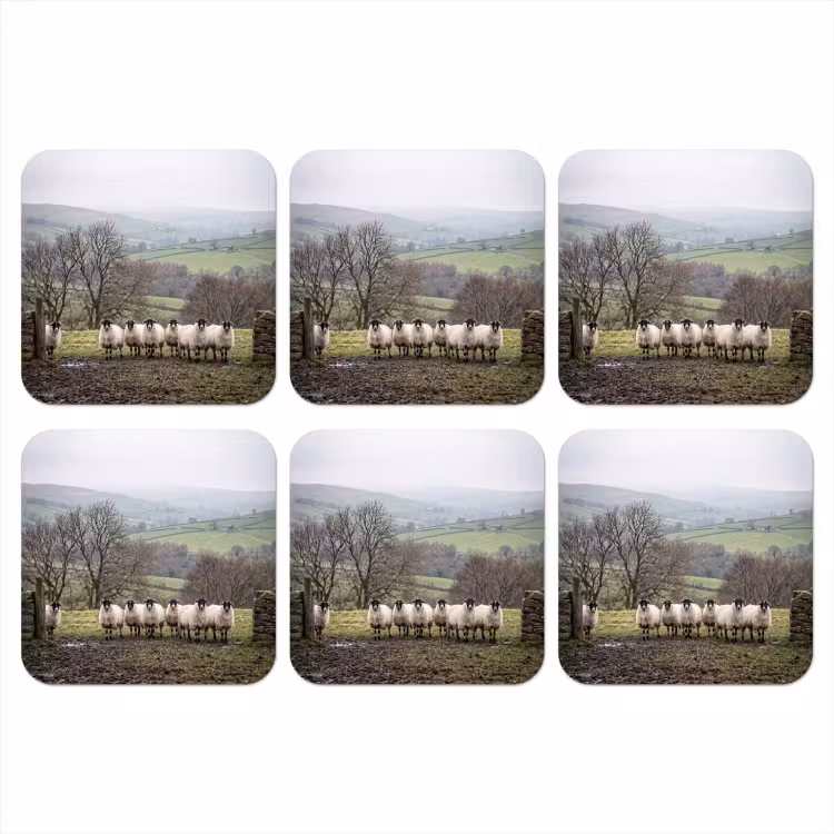 Schapen - Rij - Weide - Dieren - Platteland onderzetter kurk middel -3d