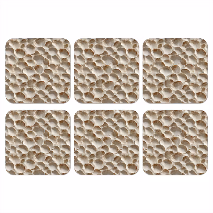 Schelpen - Waaiervorm - Wit onderzetter kurk middel 366 -3d