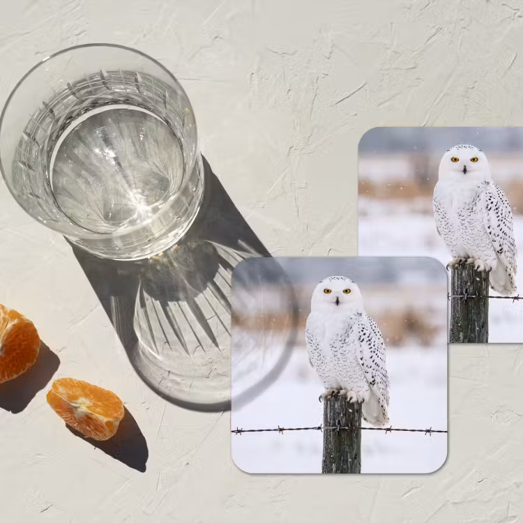 Sneeuwuil - Hek - Sneeuw - Wit onderzetter kurk middel -sfeer4