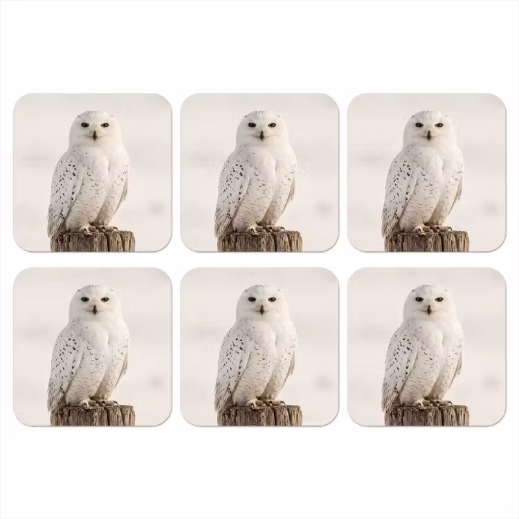 Sneeuwuil - Paal - Winter - Portret - Majestueus onderzetter kurk middel -3d