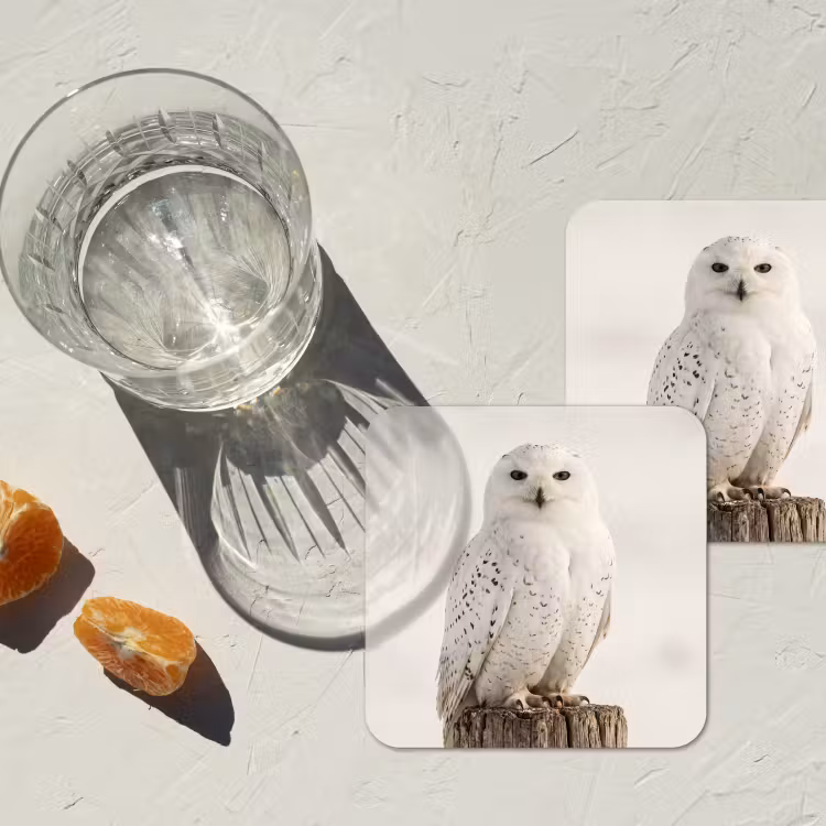 Sneeuwuil - Paal - Winter - Portret - Majestueus onderzetter kurk middel -sfeer4