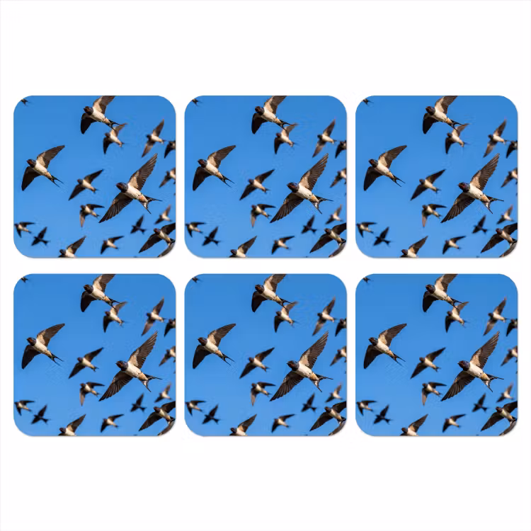 Zwaluwen - Vliegen - Blauw onderzetter kurk middel -3d