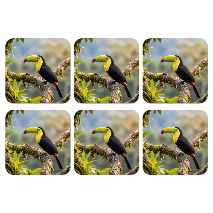 Toekan - Jungle - Natuur - Kleurrijk onderzetter kurk middel -3d