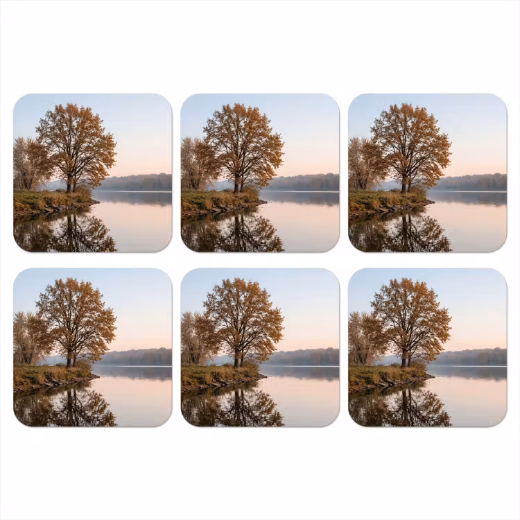 Bomen - Reflectie - Water - Zonsopgang - Serene onderzetter kurk middel -3d
