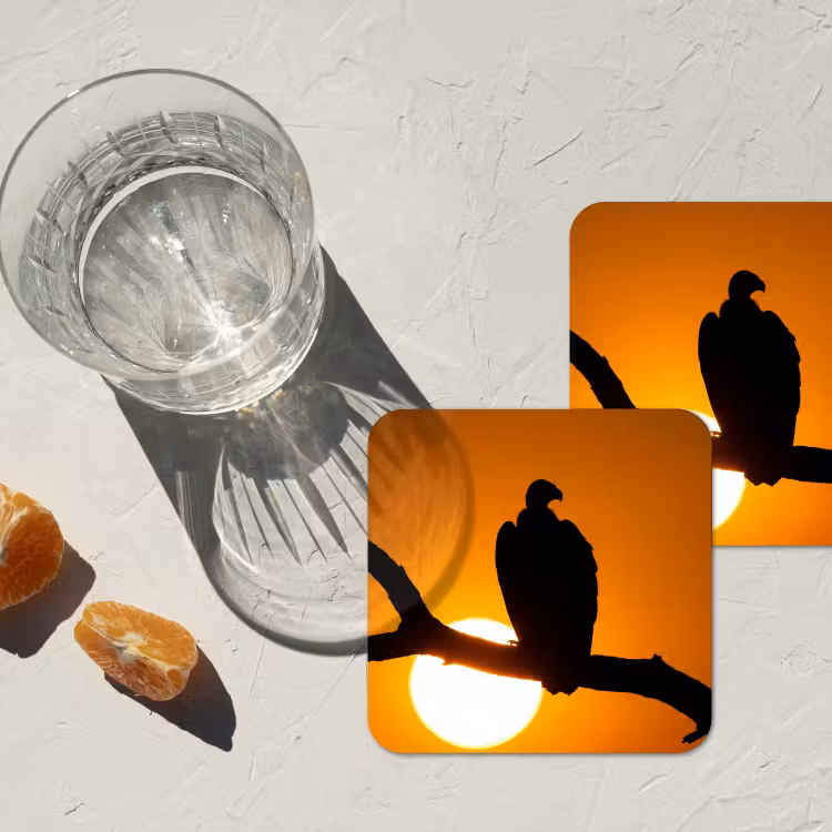 Gier - Tak - Zon - Oranje onderzetter kurk middel -sfeer4