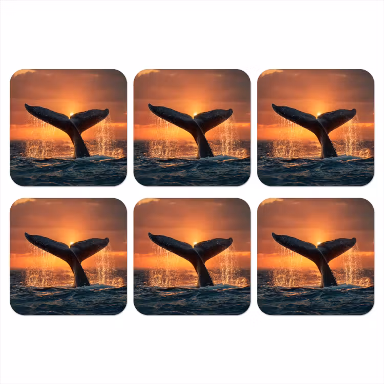 Walvis staart - Water - Zonsondergang onderzetter kurk middel -3d