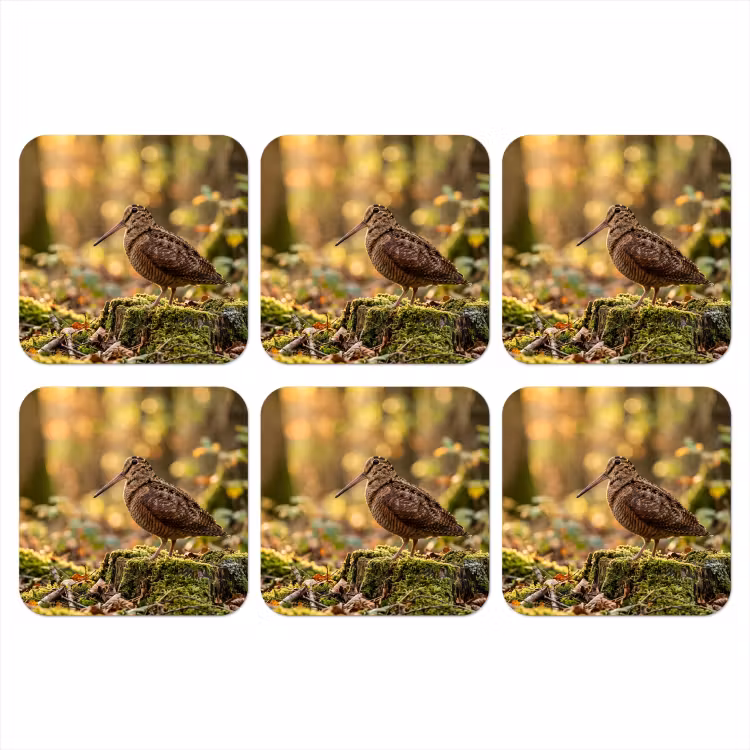 Houtsnip - Bos - Bladeren - Herfst - Gecamoufleerd onderzetter kurk middel -3d