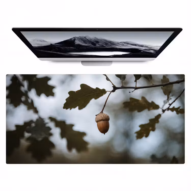 Eikel - Eikenblad - Bos - Herfst - Natuur Muismat XXL klein -zzz3d