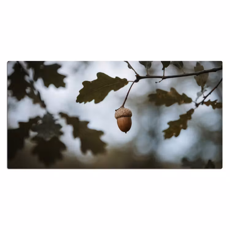 Eikel - Eikenblad - Bos - Herfst - Natuur Muismat XXL klein -3d_leeg
