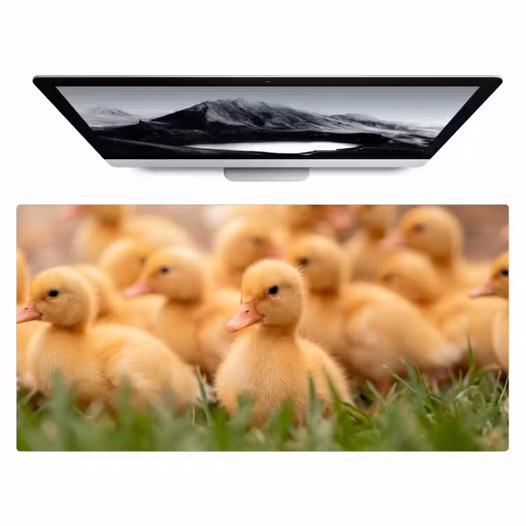 Pijltje - Eend - Natuur - Geel Muismat XXL klein -zzz3d