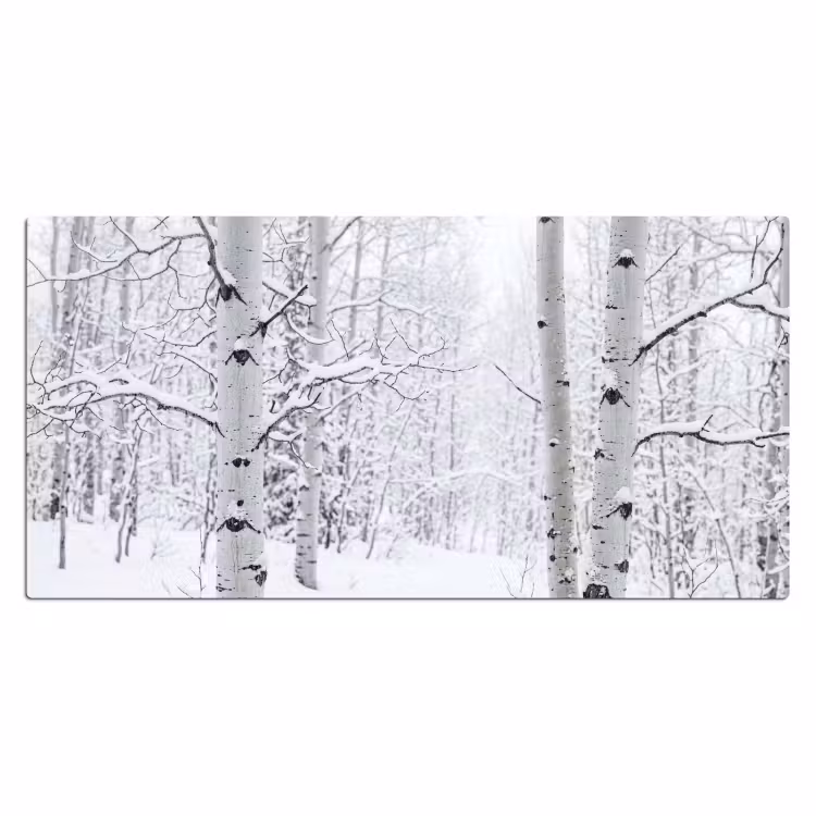 Berkenbomen - Sneeuw - Winter - Bos - Wit Muismat XXL klein -3d_leeg