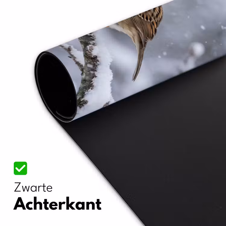 Vogel - Tak - Sneeuw - Winter Muismat XXL klein -sfeer2