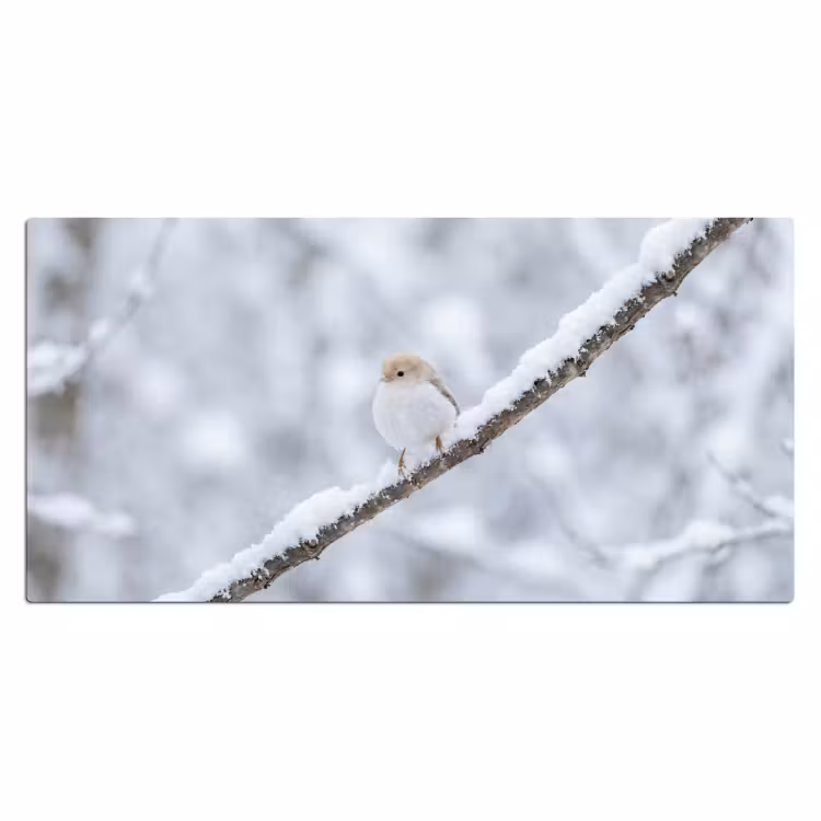 Vogeltje - Sneeuw - Tak - Winter - Zacht Muismat XXL klein -3d_leeg