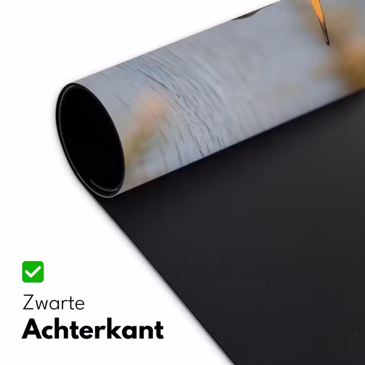 Vogel - Steltloper - Water - Natuur Muismat XXL klein -sfeer2