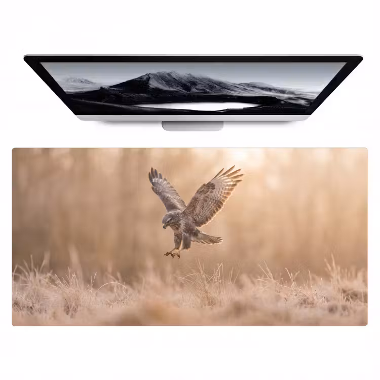 Buizerd - Roofvogel - Natuur - Bruin Muismat XXL klein -zzz3d