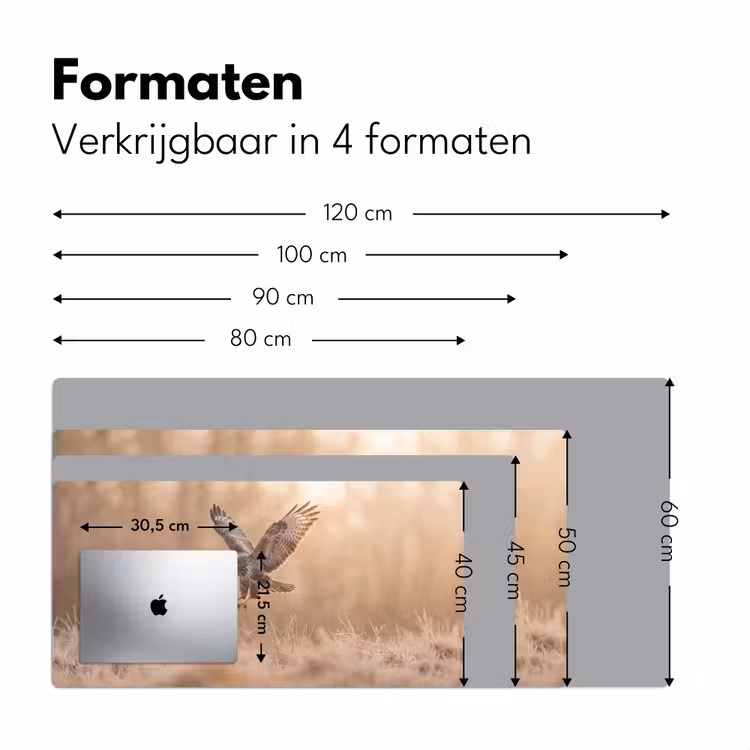 Buizerd - Roofvogel - Natuur - Bruin Muismat XXL klein -sfeer5