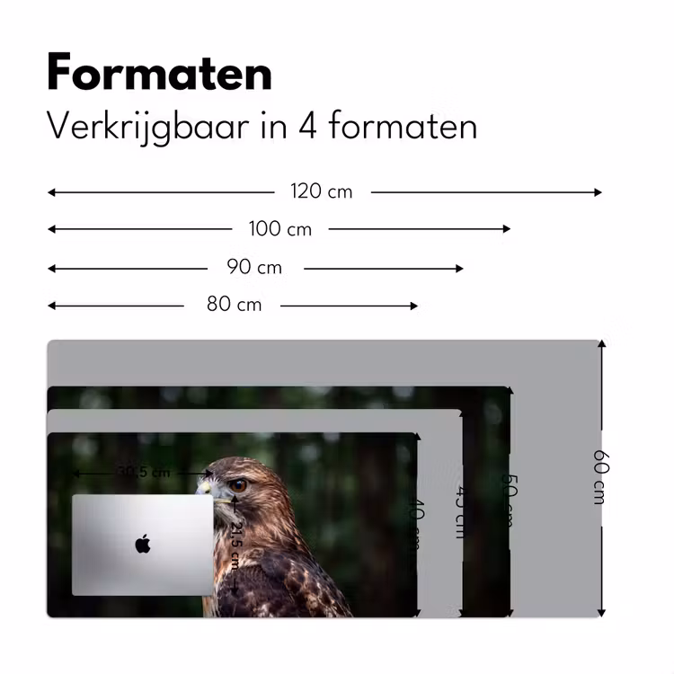 Buizerd - Roofvogel - Natuur - Bruin Muismat XXL klein -sfeer5