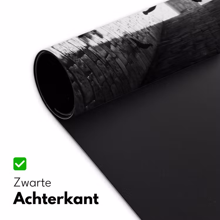 Kind - Vogel - Straat - Zwart-wit - Spelen Muismat XXL klein -sfeer2