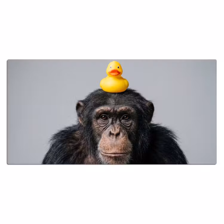 Chimpansee - Badeend - Grijs Muismat XXL klein -3d_leeg