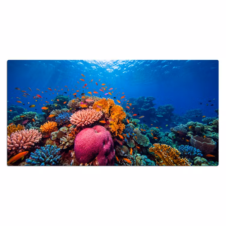 Koraal - Vissen - Oceaan - Natuur - Kleurrijk Muismat XXL klein -3d_leeg