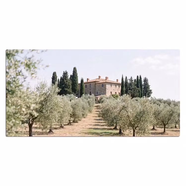 Desk Mat - Country house - olive tree - orchard - Landhuis - olijfboom - gaard Muismat XXL klein