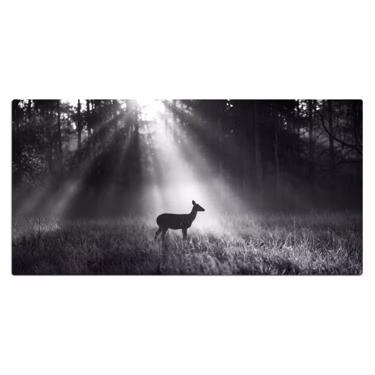 Hert - Bos - Zonnestralen - Zwart-wit - Natuur Muismat XXL klein -3d_leeg