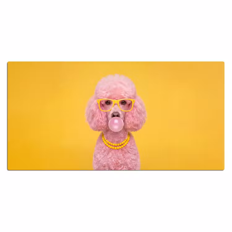 Hond - Kauwgum - Dieren - Modern - Roze Muismat XXL klein -3d_leeg