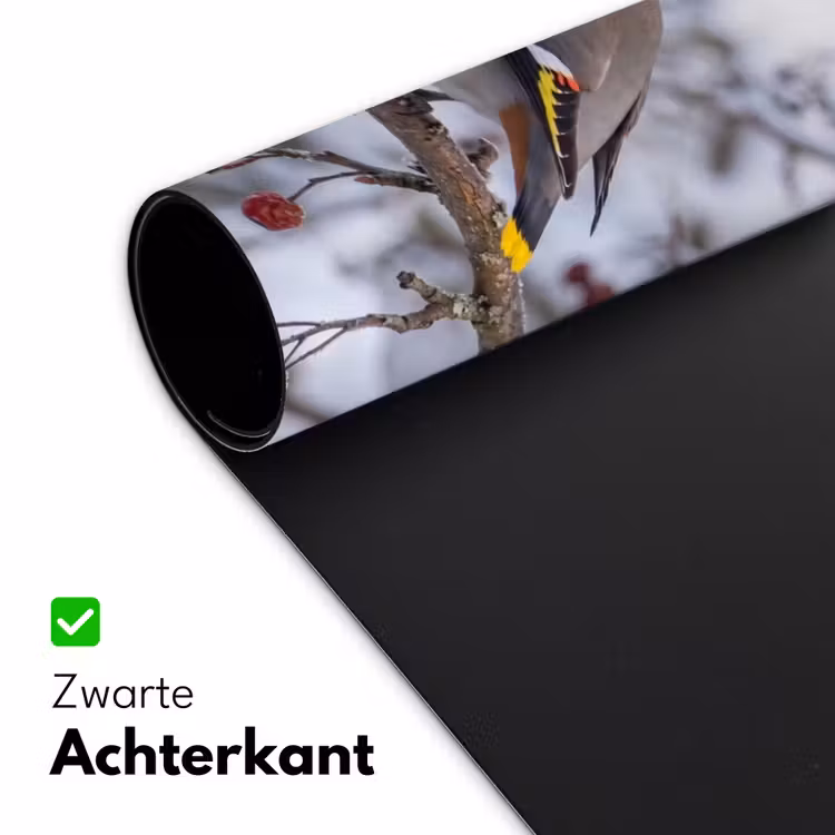 Pestvogel - Bessen - Winter - Natuur Muismat XXL klein -sfeer2