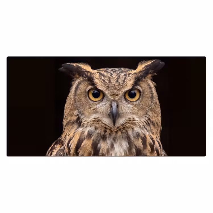Oehoe - Uil - Portret - Bruin Muismat XXL klein -3d_leeg
