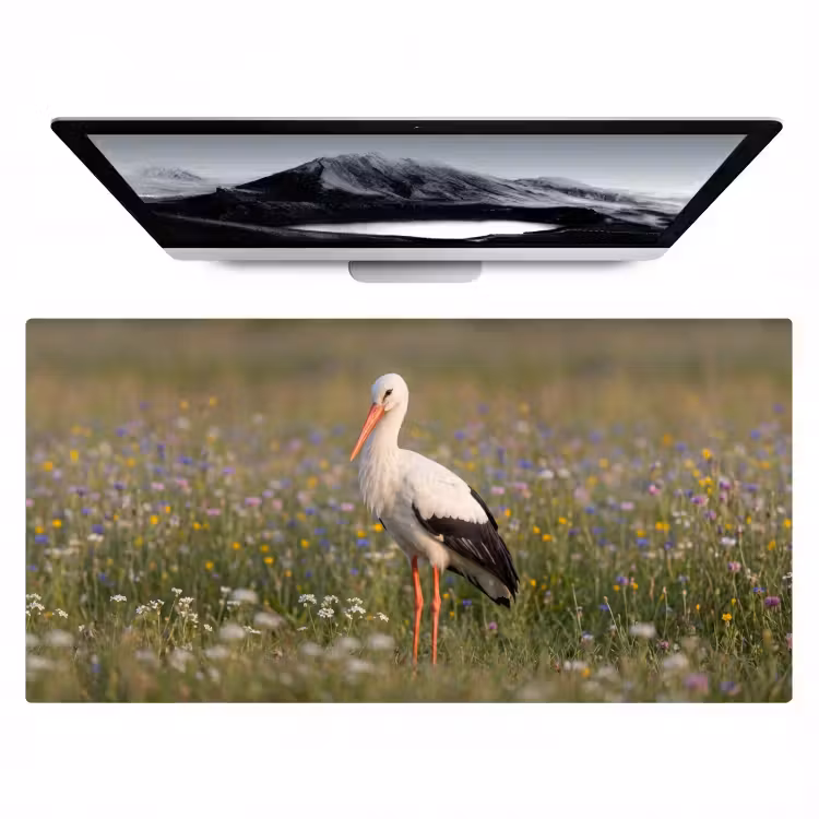 Ooienvaar - Bloemen - Weide - Kleurrijk Muismat XXL klein -zzz3d