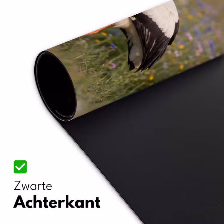 Ooienvaar - Bloemen - Weide - Kleurrijk Muismat XXL klein -sfeer2