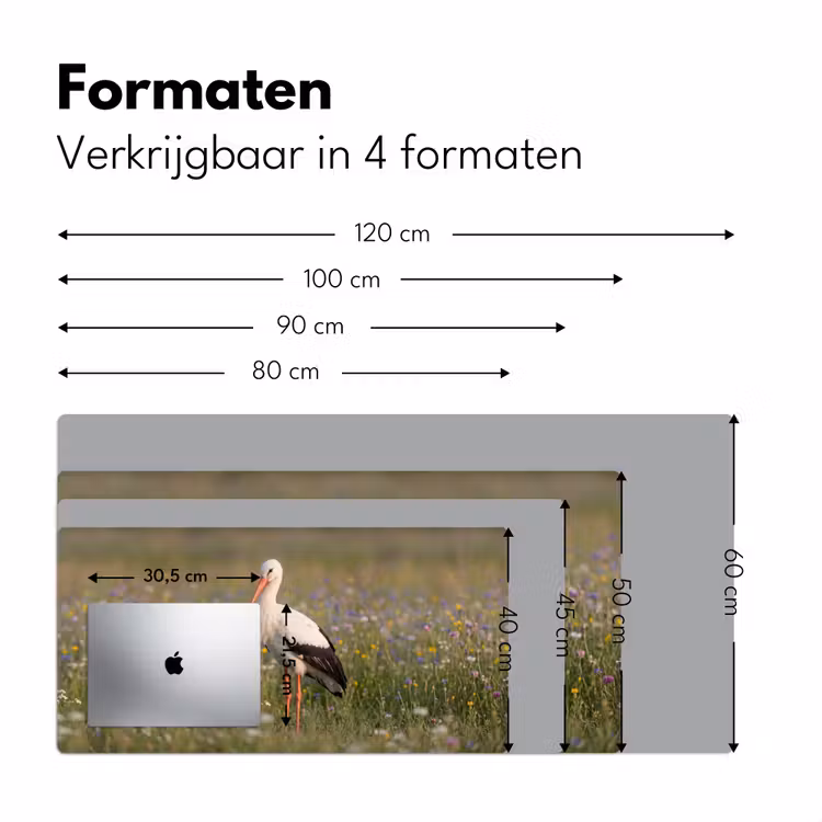 Ooienvaar - Bloemen - Weide - Kleurrijk Muismat XXL klein -sfeer5