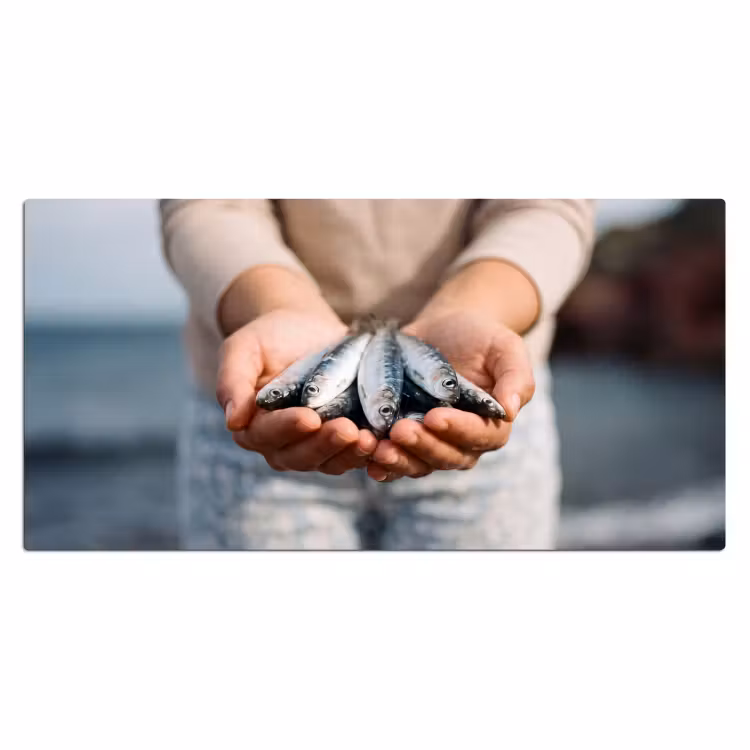 Desk Mat - Fish - Hands - Nature - Vis - Handen - Natuur Muismat XXL klein