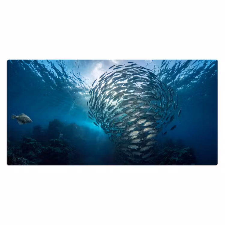 Vis - School - Oceaan - Natuur - Blauw Muismat XXL klein -3d_leeg