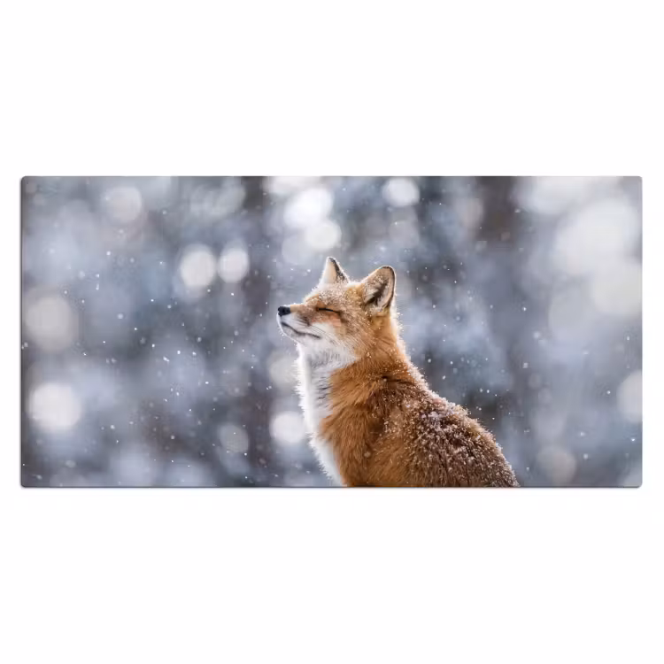 Vos - Sneeuwval - Portret - Winter - Sfeervol Muismat XXL klein -3d_leeg