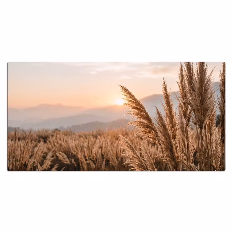 Gras - Veld - Zon - Natuur Muismat XXL klein -3d_leeg