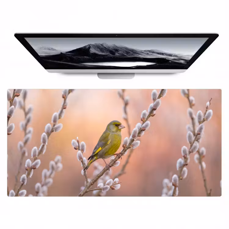 Groenling - Katjes - Lente - Natuur - Zacht Muismat XXL klein -zzz3d