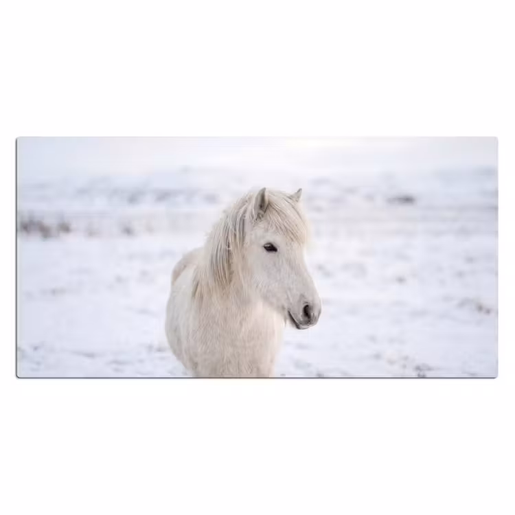 Paard - Kop - Winter - Dieren - Wit Muismat XXL klein -3d_leeg